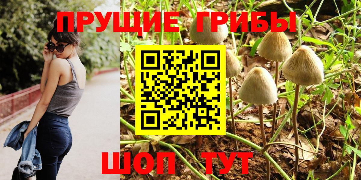 Медногорск  Галлюциногенные грибы прущие грибы  Вход с VPN 